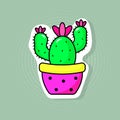 Bright potted cactus sticker in the style of 80s pop art.